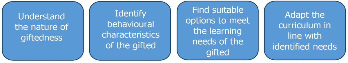 Enrichment, Extension and Challenge Policy Model